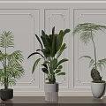 Indoor Bonsai Plants Decor With Various Green Foliage And Decorative Pots