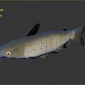 3D Rendered Brown Spotted Fish With Whiskers On Gray Background