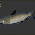 Modern catfish catfish catfish beard catfish 3d model