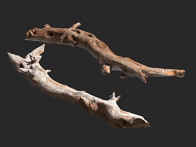 Natural Rustic Wooden Logs With Hollow Holes Textured Surface And Decorative Design 3d model