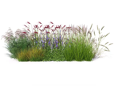 Colorful Flowers And Grasses For Garden Decoration With Purple Red And Green Hues 3d model