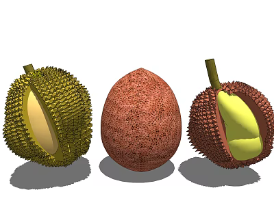 Fresh Durian Fruits With Spiky Husk Opened And Whole Varieties Showing Yellow Flesh 3d model
