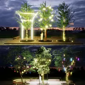 Outdoor Decorative Lights Hanging On Trees In Evening Garden With Glowing Effects