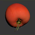 Fresh Red Tomato with Green Stem and Leaves on Dark Reflective Surface
