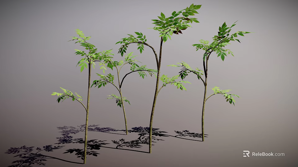 Multiple Slender Trunk Plants With Green Leaves And Shadow On Gray Background 3d model 