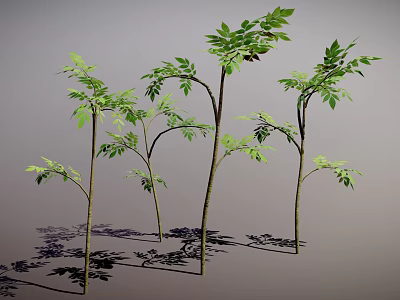 Multiple Slender Trunk Plants With Green Leaves And Shadow On Gray Background 3d model