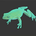 Yellow Frog With Bright Body Color And Pinkish Limbs Standing On Dark Surface