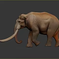 Realistic Brown Elephant With Long Tusks Standing On Gray Background With Reflection