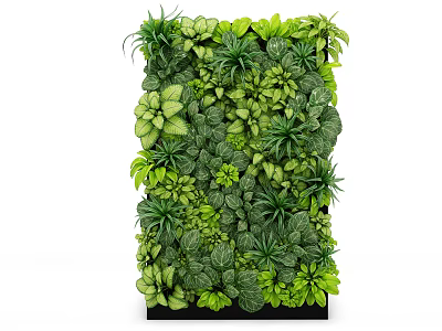 Indoor Decorative Green Plant Wall With Diverse Fresh Foliage And Natural Design 3d model