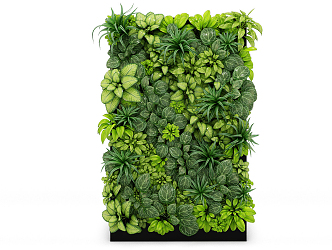 Modern Green Wall Plants 3d model