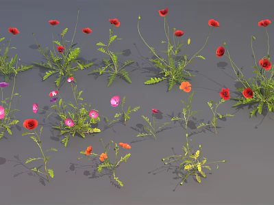 Scattered Red and Pink Poppies with Green Stems and Leaves on Gray Background 3d model