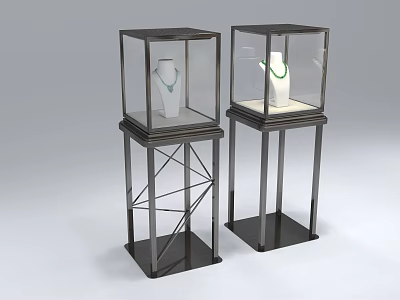 Standing Display Cases with Glass Enclosure and Metal Frame for Jewelry 3d model