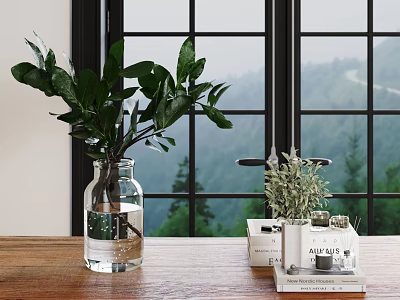 Fresh Green Plants In Transparent Glass Vase On Wooden Table With Mountain View By Window 3d model
