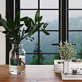 Fresh Green Plants In Transparent Glass Vase On Wooden Table With Mountain View By Window