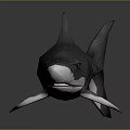 Realistic 3D Shark Model With Gray Body White Underbelly And Fins On Dark Gray Background