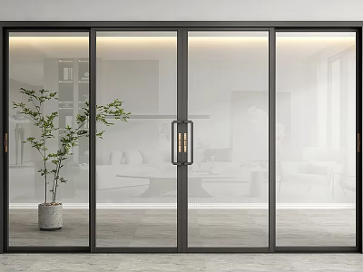 Elegant Sliding Glass Doors With Black Frame Frosted Glass And Green Plant 3d model