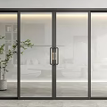 Elegant Sliding Glass Doors With Black Frame Frosted Glass And Green Plant