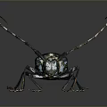 Detailed Close Up Of Long Horned Beetle With Black White Spots And Metallic Shine