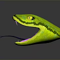 Green and Yellow Snake with Open Mouth Purple Interior Extended Tongue and Yellow Eyes