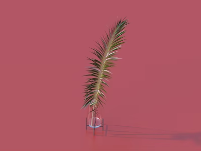 Decorative Ornament Set with Transparent Vase Green Feathery Leaf and Black Stand on Pink Background 3d model