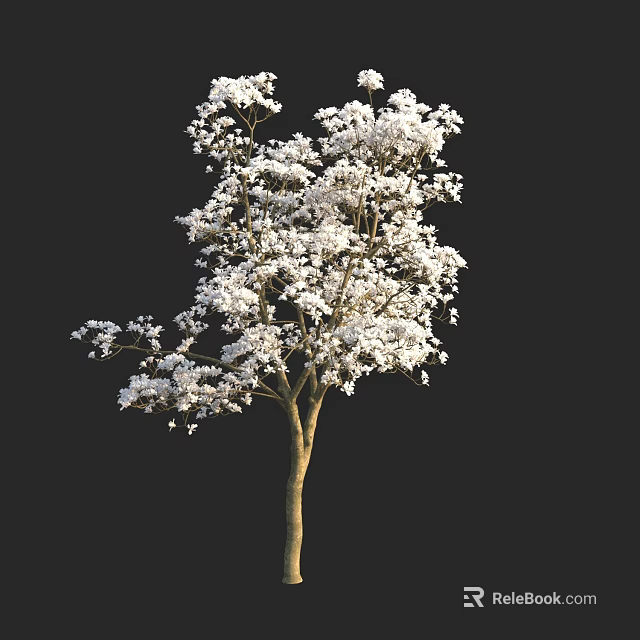 Elegant Tall Arbor Covered In Abundant White Flowers On Black Backdrop 3d model 