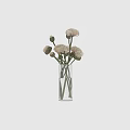 Transparent Glass Cylindrical Vase With Light Colored Blooming Peonies And Green Stems On White Background