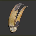 Animal Claws With Yellow And Purple Natural Texture On Dark Background