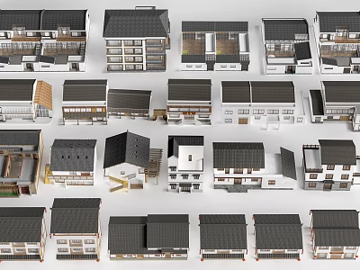 Rural Self Built Houses With Various Architectural Styles And Exterior Designs 3d model