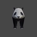 Realistic 3D Model of Standing Black and White Panda Bear in Neutral Gray Background