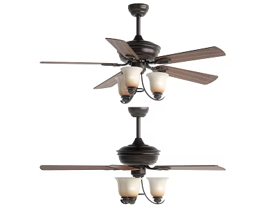 Ceiling Fan With Brown Blades And Glass Lights Modern Home Design 3d model