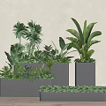 Gray Flower Planters With Green Plants In Different Heights Light Walls And Wooden Floors