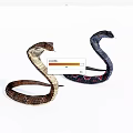 Reptile snake 3d model