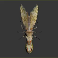 Insect Shaped Decorative Furniture Piece With Yellow Brown Pattern And Transparent Top