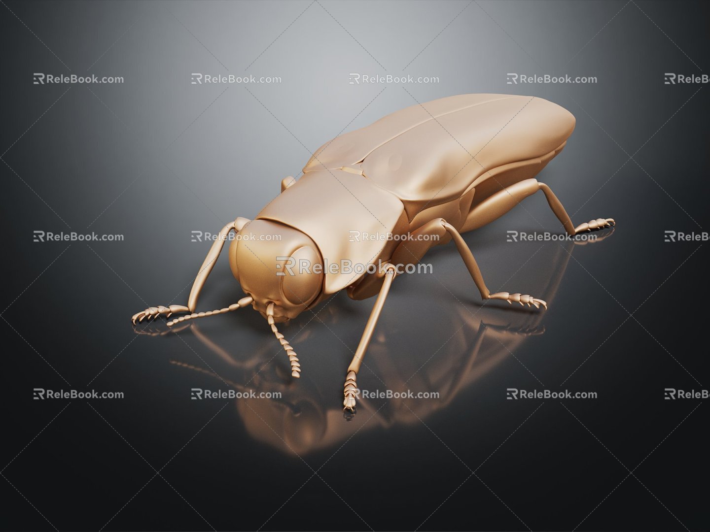 Modern beetles of the genus Giddinium Narrow Giddinium 3d model