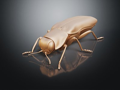 Modern beetles of the genus Giddinium Narrow Giddinium model