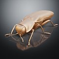 Modern beetles of the genus Giddinium Narrow Giddinium 3d model