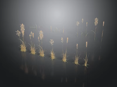 Golden Grass Plants on Black Background with Natural Reflections and Elegant Stems 3d model