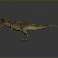 Realistic T Rex Dinosaur 3D Model With Open Mouth And Sharp Teeth 3d model
