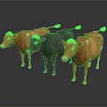 Three Cows Standing On White Background With Brown Black And White Spotted Colors