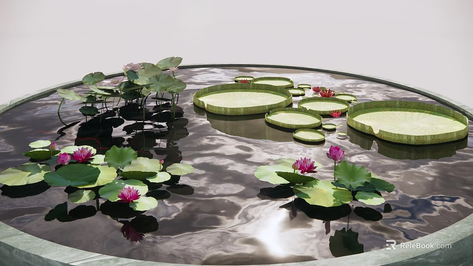 Garden Water Feature With Circular Pond Lily Pads Lotus Flowers And Reflections 3d model 