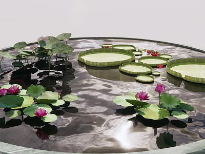 Garden Water Feature With Circular Pond Lily Pads Lotus Flowers And Reflections 3d model