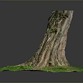Plant Scene With Tree Stump Small Plants Green Grass Exposed Roots And Trunk Texture