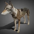 Realistic 3D Render Of Standing Dog With Gray Brown White Fur