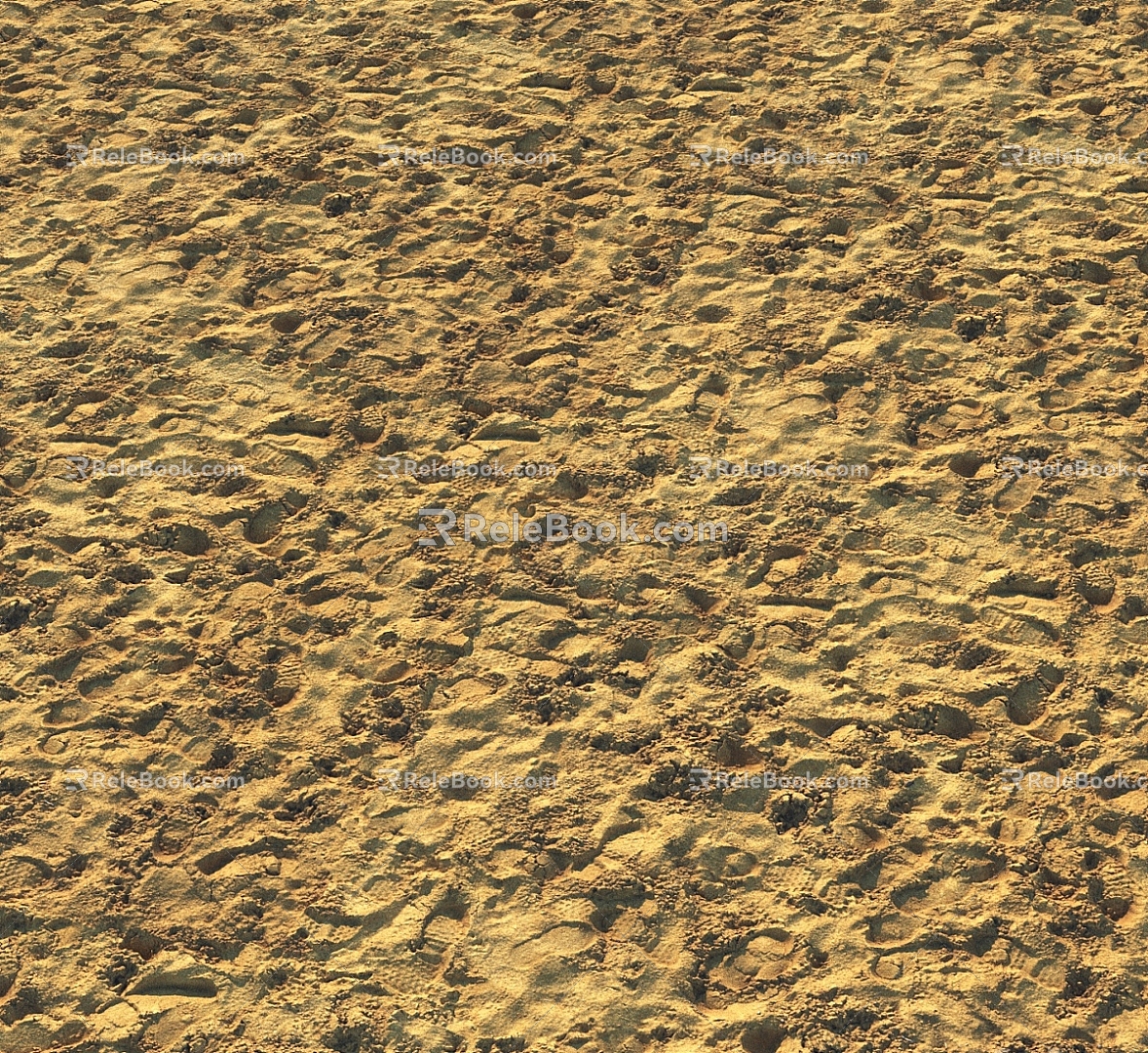 Seaside Beach Landscape Outdoor Seaside Beach Sand Wet Sand Fine Sand Beach 3d model