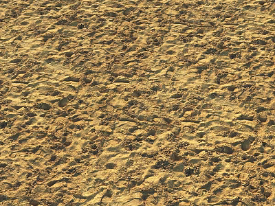Beautiful Natural Sand Landscape With Detailed Texture And Footprints Under Sunlight 3d model