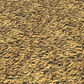 Beautiful Natural Sand Landscape With Detailed Texture And Footprints Under Sunlight
