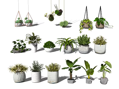 Various Potted Plants For Indoor Home Decor With Hanging And Tabletop Designs 3d model