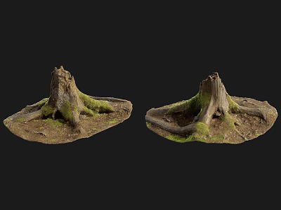 Natural Wooden Stumps With Stone Elements And Moss Covered Roots 3d model