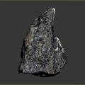 Natural Wooden Stone with Porous Surface Multicolor Texture and Shiny Reflective Finish