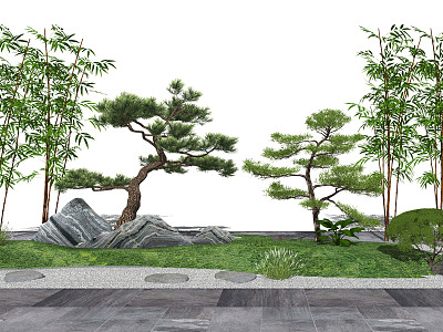 New Chinese Style Pine Tree Modeling Pine Black Pine Pohan Pine Bamboo Dry Landscape Tree Ornamental Tree Courtyard Trees Trees Shrubs Plants Snowwave Stone model